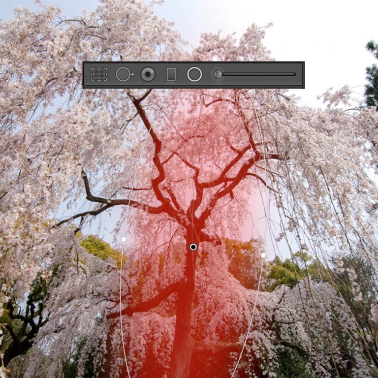La retouche de base dans Lightroom