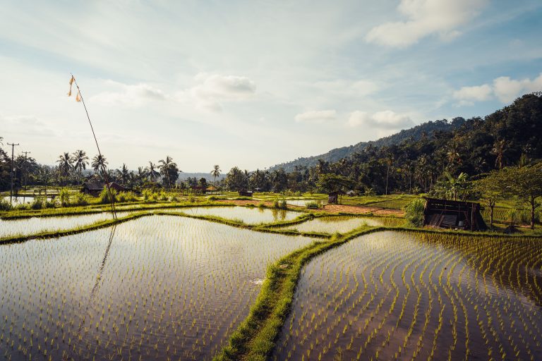 VOYAGE PHOTO – Bali